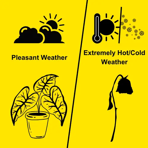 Suitable Temperature for Plant Python Problem